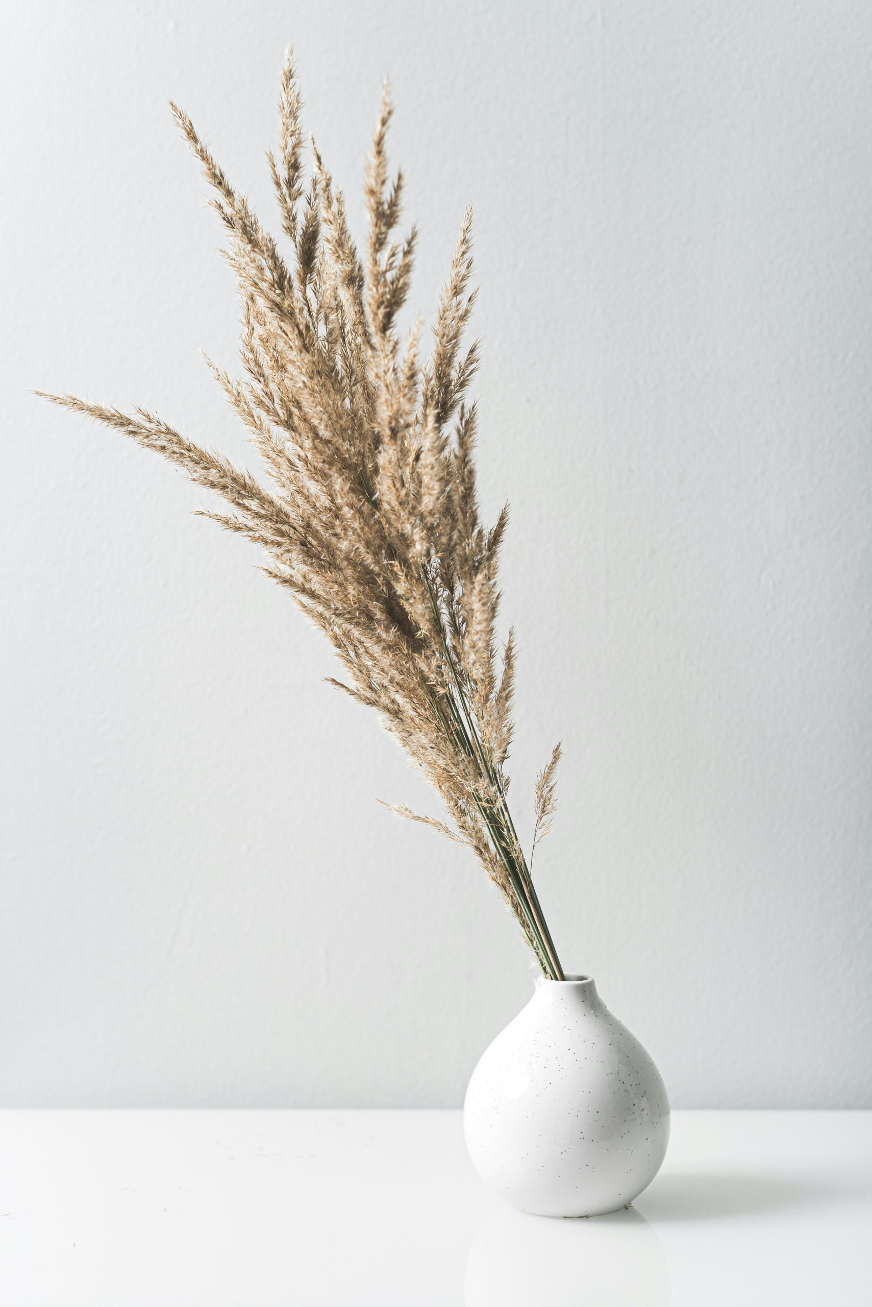 oscar-helgstrand-6ojCyWPrzCk-unsplash